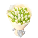 35 белых тюльпанов