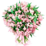 Букет из альстромерии «Новелла»