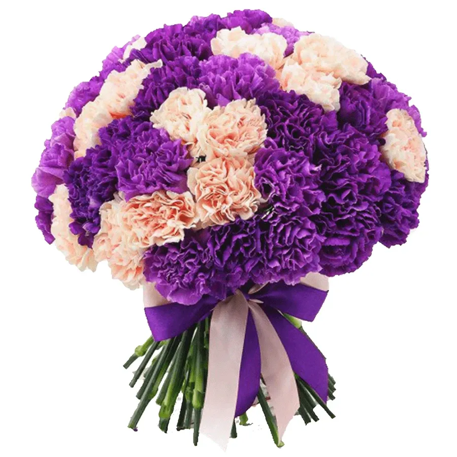 Гвоздика микс №1